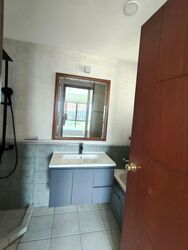The Rivervale (D19), Condominium #574538251